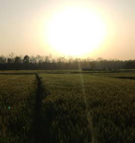 Village Walks